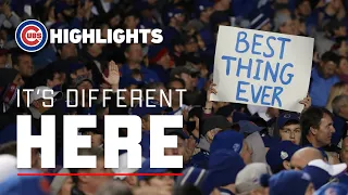Wrigley Field Traditions 7th Inning Stretch Ballhawks Bleacher Culture More