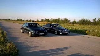                                           دندنها