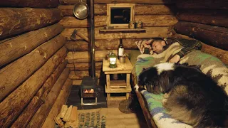 A Man and His Dog Alone in the Woods | Cozy Cabin Sleep | No Talking