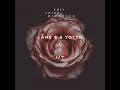 I / Y - Lane 8 & Yotto