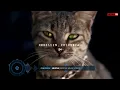 BEST OF ONLYMOH SONGS 2025 & 2026(DJ_5IVEO👽)