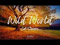 Cat Stevens - Wild World (Lyrics)