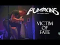 Download Lagu Pumpkins | Helloween tribute - Victim of Fate - Live in KD Šeříková 2024