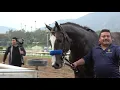 Kentucky Derby 2023 Bob Baffert s Reincarnate