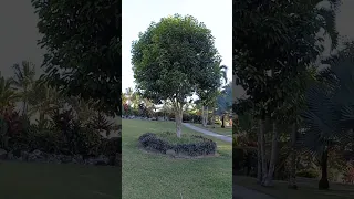 Baháʼí House Of Worship Panama City Panama 