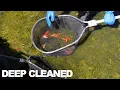 Download Lagu Step-by-Step: Deep Cleaning a Neglected Koi Fish Pond Full of Algae