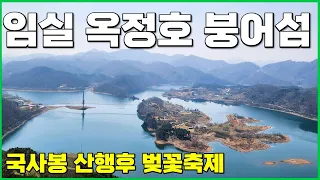 임실 국사봉 등산코스 | 옥정호 벚꽃축제 4일전 개화율 | 옥정호 붕어섬 전망대 | 봄꽃산행지 추천 썸네일