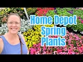 Home Depot Spring PLANT SHOPPING Best Deals or Overpriced