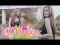 Download Lagu Irenne Ghea - Santri Pekok [OFFICIAL MV] | DJ SANTUY FULL BASS