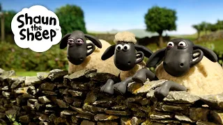 Shaun the Class Clown! 🐑 Shaun the Sheep 🐑  - Cartoons for Kids 🐑 Full Episodes Compilation