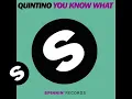 Download Lagu Quintino - You Know What (Alvaro Remix)