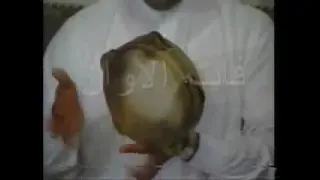 سوالف ليل طلال مداح دندنها