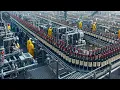 Lagu Inside the Wine Factory: The Truth About How Wine Is Really Made (full process)
