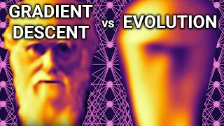 Gradient Descent vs Evolution How Neural Networks Learn