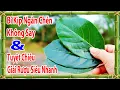 Lagu Cách uống rượu không say, cách giải rượu nhanh nhất