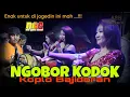 Download Lagu ngobor kodok || koplo bajidoran by DGC || live teko pebayuran || enak mantuuuul