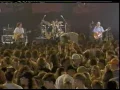 Dog's Eye View Live - Everything Falls Apart