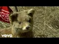 Modest Mouse - The World At Large Stiff Animal Fantasy