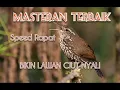 Lagu MASTERAN tembakan Tajam dan Rapat TERBAIK, berjeda, mudah ditirukan, materi simpel tapi MEWAH.