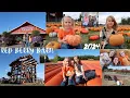 Red Berry Barn Pumpkin Patch 2024