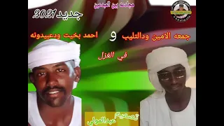 مجادعه بين جمعه الامين ودالتليب واحمد بخيت عبيدونه 