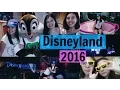 I WENT TO DISNEYLAND Milan Mirabella