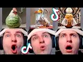 Download Lagu NEW Italian Brainrot Animals 😱 TikTok Compilation (Anatoxich) #33