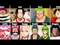 Download Lagu Every One Piece Charecters And Their Parents