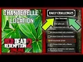 Chanterelle Location RDR2 Online How to find Chanterelle in RDR2 Online