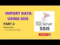Import data using SSIS - Conditional Split