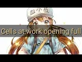 Download Lagu Cells at work! Opening (full) - [ MIRACLE! KEN KOU DAI ICHI ]