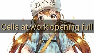 cells at work opening full miracle ken kou dai ichi 
