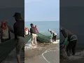 Download Lagu Beach Nets Full of Fish #fishing #fish #traditionalfishing #viralvideo #fishinglife #fishcutting