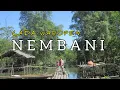 Download Lagu Lada Waropen_NEMBANI (Bahasa.Waropen)#ladawaropen#ladabiak#ladaserui#poppapua