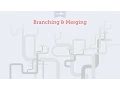 Introduction to Branches Learn Git Course