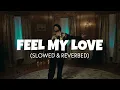 Feel My Love [Slowed + Reverb] - Diljit Dosanjh | Lofi edit 2023