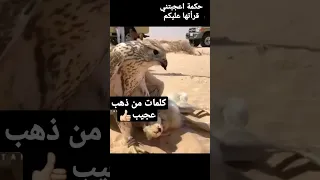 حكمة روعةاعجبتني القيتها عليكم من هو صاحب الكلمات 