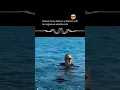 Download Lagu When Mariah Carey did this 😱 #mariahcarey #dolphin #voice #reaction #omg