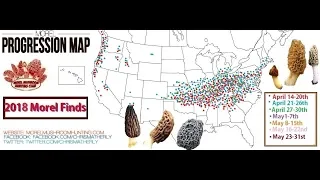 2018 Wild Edible Mushroom Finds Maps thru August