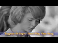 Download Lagu Don't play that song - Ben E. King.  The movie is from The Easy Life (Il sorpasso, 1962)