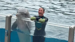 Dolphin Adventures (Full Show) - SeaWorld Orlando - October 19, 2026