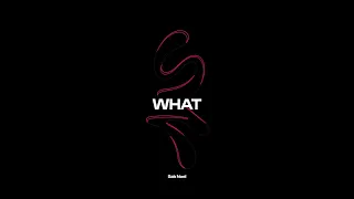 Sak Noel - What (Extended Audio)
