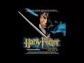 20. Harry's Wondrous World (Chamber Of Secrets) - John Williams