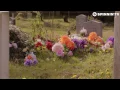 Sam Feldt - Show Me Love (ft. Kimberly Anne) [Official Music Video]