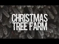 Download Lagu Taylor Swift - Christmas Tree Farm (Lyrics) HD