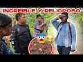 Download Lagu CHAMOY EN PELIGRO!!😰 lo que descubrimos en su casa nos dejó helados es más grave de lo que parece😱😭
