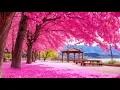 Download Lagu Kalmeert, herstelt het zenuwstelsel 🌿 Stop met denken, stressverlichtende muziek #14
