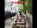 Download Lagu Nature lover whatsapp status/ charlie bgm