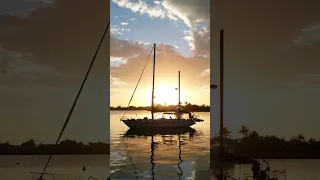 heading home #bahamas #boatlife #travel #sailboat