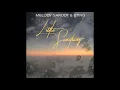 Melody Gardot & Sting - Little Something (DiPap Remix)